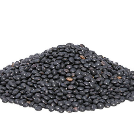 Black Lentile Seeds
